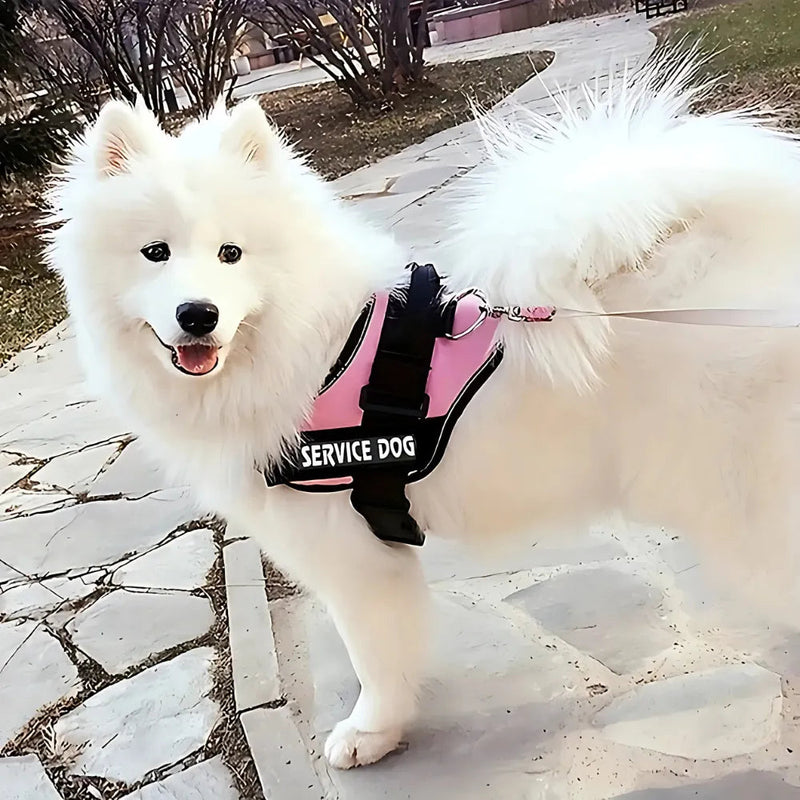Peitoral SafeBud | Mais Segurança e Conforto Para o Seu Pet