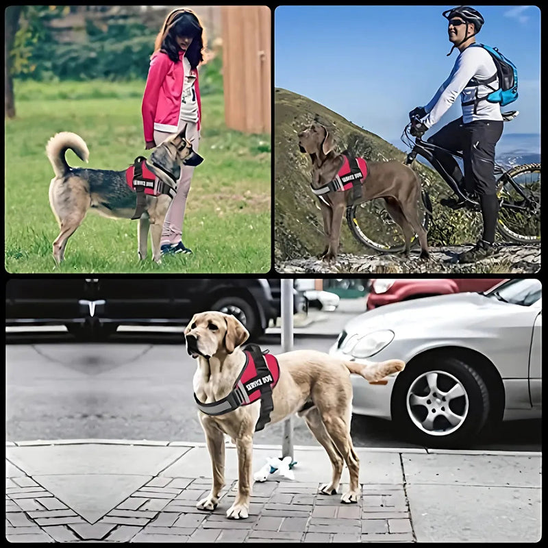 Peitoral SafeBud | Mais Segurança e Conforto Para o Seu Pet